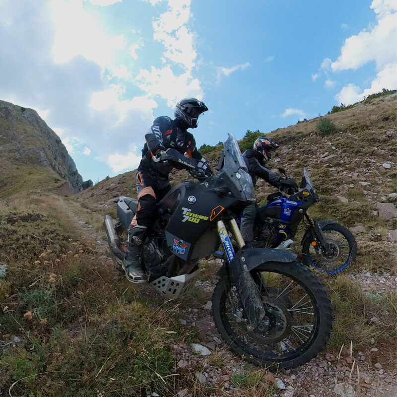 ALL ROAD TRAINING