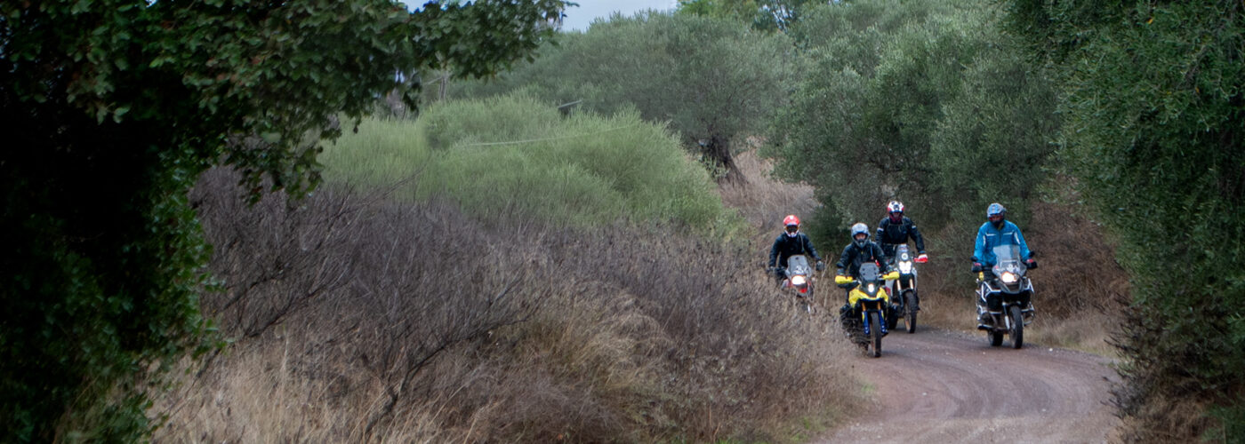 ALL ROAD TRAINING